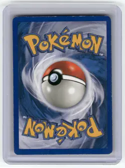 Teddiursa Skyridge Common Pokemon Near Mint or Better - Image 2