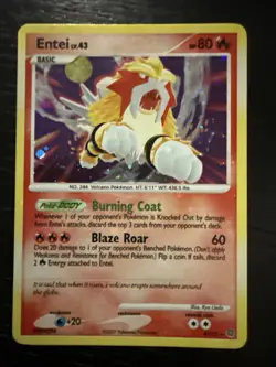 Entei Secret Wonders 4/132 Holo Card TCG 2007 MP/LP Condition - Image 1