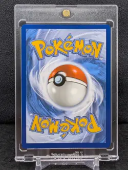 Charcadet 022 Black Star Promo Phantasmal Flames Pokemon TCG NM - Image 2