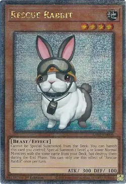 Rescue Rabbit (Quarter Century Secret Rare)-Quarter Century Secret Rare - 1st... - Image 1