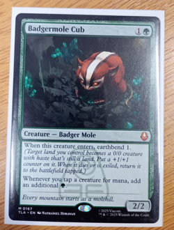 Badgermole Cub - NM - ENG - Magic The Gathering Avatar (0167) MTG - Image 1