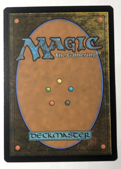 Eomer, Marshal of Rohan 120 the Lord of the Rings MTG Magic the Gathering NM - Image 2