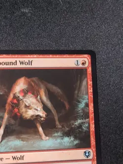 MTG - Runebound Wolf - Free P+P - Image 2