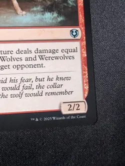 MTG - Runebound Wolf - Free P+P - Image 5