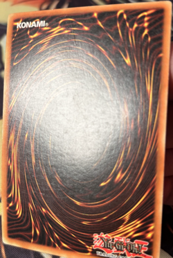 Yugioh: B. Skull Dragon - DB1-EN153 - Super Rare - Unlimited - MP - Image 5