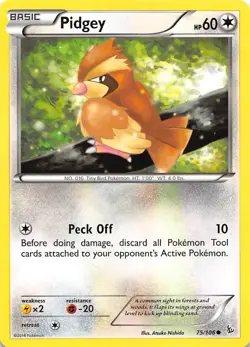 Pidgey 75/106 XY Flashfire Pokemon - Image 1