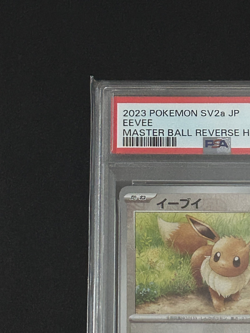 Japanese Pokemon Eevee PSA 10 Master Ball Reverse Holo SV2a 133/165 GEM MINT - Image 3