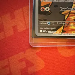 Pokemon Numel Illustration Rare Ascended Heroes 223/217 Holo 2026 80 HP Fire - Image 2