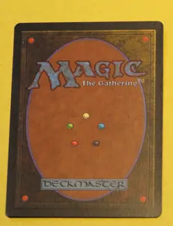 Shallow Grave Mirage Regular - Image 2