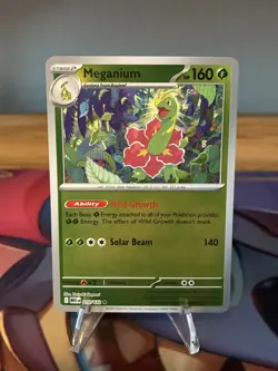 Pokemon - Meganium 010/132 - Reverse Holo - Me01 Mega Evolution - Image 1