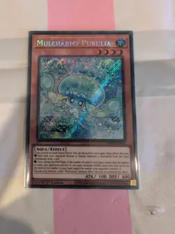 Yugioh Mulcharmy Purulia INFO-EN027 1st Edition Secret Rare NM - Image 1