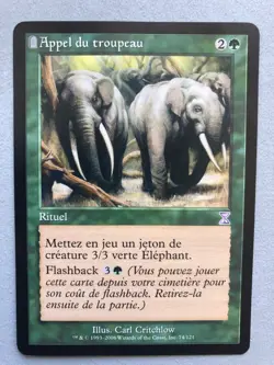 Mtg Carte Magic TSP Timeshifted Call of the Herd French NM/LP - Image 1