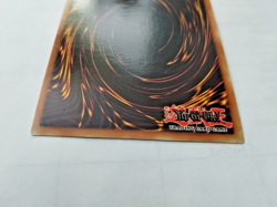 Yu-Gi-Oh! TCG Terrorking Salmon Invasion of Chaos IOC-060 -Unlim. - Uncirculated - Image 4