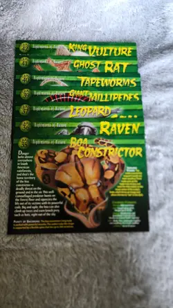 Weird n Wild Creatures Knowledge Cards Large Cards & Small Cards W/Case. - Image 5