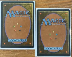 Vintage 1995 Magic the Gathering MTG KOSKUN FALLS X2 Homelands NM/NP - Image 4