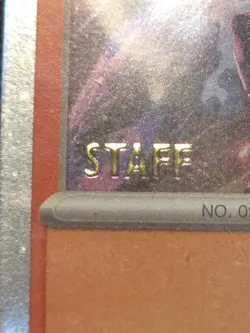 Phantasmal Flames STAFF Sealed Promo Pack - 4 Cards Pokemon TCG - Image 2