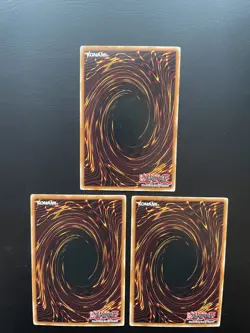 Yugioh Pitch-Black Warwolf RDS-EN026 Common 1st Edition LP/MP X3 - Image 2