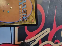 Dawn's Truce (Showcase) Bloomburrow Foil - Image 5