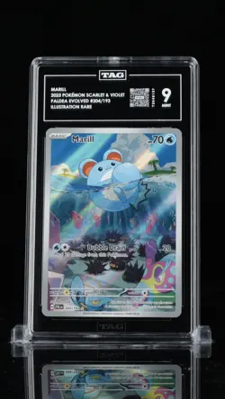 Pokemon Marill Paldea Evolved Illustration Rare #204 TAG 9 Mint - Image 1