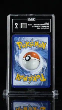 Pokemon Marill Paldea Evolved Illustration Rare #204 TAG 9 Mint - Image 2