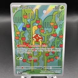 Shuckle 136/132 - ME01: Mega Evolution Pokemon Illustration Rare Holo NM - Image 1