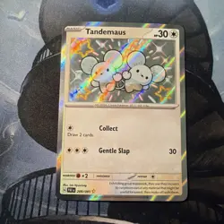 Pokemon Tandemaus 209/091 SV: Paldean Fates Shiny Rare Holo NM+ - Image 1