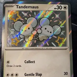 Pokemon Tandemaus 209/091 SV: Paldean Fates Shiny Rare Holo NM+ - Image 3