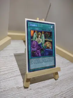 Yu-Gi-Oh Card Shared Ride MP14-EN231 2014 Mega-Tins TCG 1st Edition Secret Rare. - Image 3