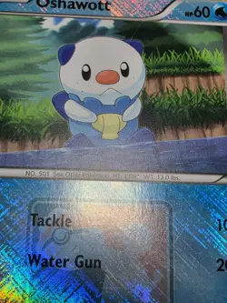 Pokemon Promo Oshawott 27/114 Crosshatch Holo BW Base Set - Image 5