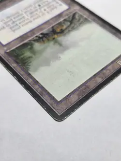 Brushland Magic: Ice Age 1995 LP Magic: The Gathering MTG - Image 3