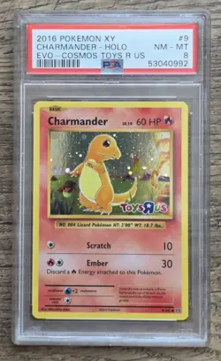 Pokemon Charmander Evolutions Toys R Us Cosmos Holo Promo #9 PSA 8 - Image 1