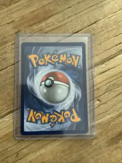 First Partner Illustration Squirtle Promo Full Art Holo 037 Pokemon TCG RARE NEW - Image 2