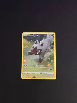 Poochyena GG33/GG70 Pokemon TCG: Crown Zenith: Galarian Gallery NM Pack Fresh - Image 1