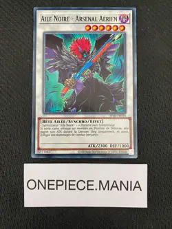 Carte Yu-Gi-Oh! Aile Noire - Arsenal Aerien OP20-FR018 Commune - Image 1