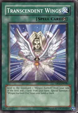 Transcendent Wings Common DP1-EN018 Yu-Gi-Oh! - Image 1