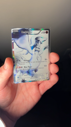 Pokemon TCG Reshiram Full Art Holo Black & White 113/114 - Image 2