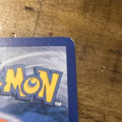 Swampert 11/106 - Holo - MP - Pokemon EX Emerald - Image 3