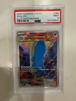 2025 POKEMON JTG EN-JOURNEY TOGETHER ILLUSTRATION RARE #162 WAILORD PSA 9 - Image 1