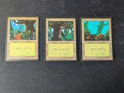 3x MTG Forest FBB Black bordes Japanese LP - Image 1