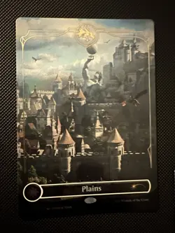 MtG Secret Lair Dungeon & Dragons Full Art Land Set Foil (One Of Each) - Image 5