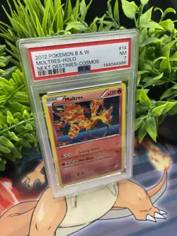 MOLTRES #14/99 POKEMON BLACK & WHITE 2012 NEXT DESTINIES COSMOS HOLO PSA7 NM - Image 3