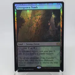 Overgrown Tomb ECL 266 Foil English NM - MTG - Image 1