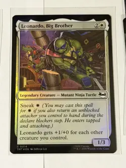 Leonardo, Big Brother Teenage Mutant Ninja Turtles Foil 14 - Image 1