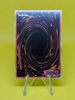 Yugioh - Dark Magical Circle - OP18-EN024 - Common - Image 2