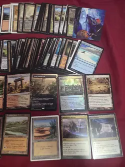 Magic The Gathering Land Lot - Image 2