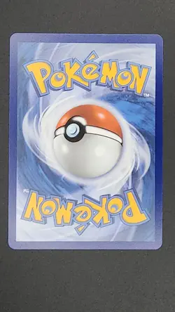 Pokemon First Partner Illustration Collection Turtwig Chimchar Piplup Promo - Image 4