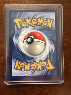 Pokemon TCG Meowth Fruit Roll Up Gold Bordered Promo 56/64 - Image 2