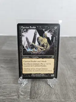 Carrion Feeder Scourge Zombie Regular 59/143 Magic The Gathering HP - Image 1