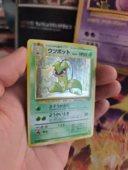 Pokemon Karte Card Sarzenia Victreebel Jungle Holo Wotc japanese Exc-NM Swirl - Image 5