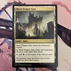 Gate Land Bundle - Sea Gate, Citadel Gate, Gond Gate.. - Magic the Gathering MTG - Image 4